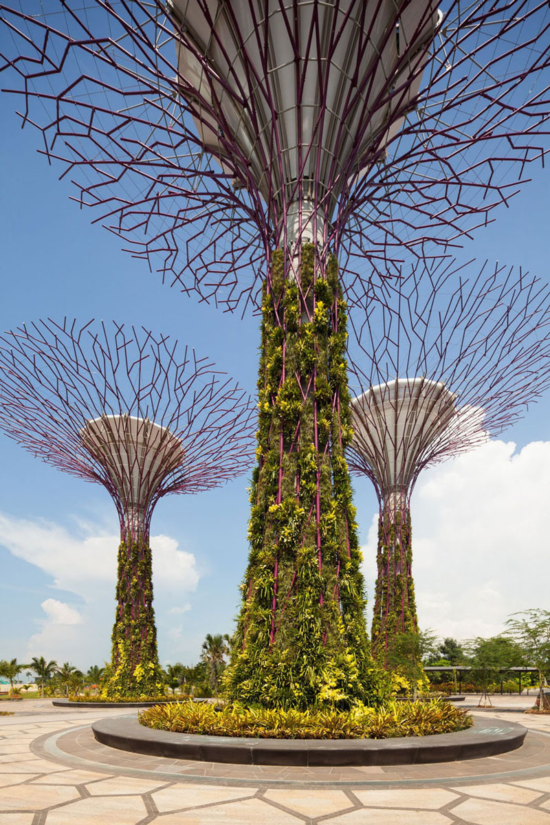 Spectacular Gardens By The Bay In Singapore | iDesignArch | Interior
