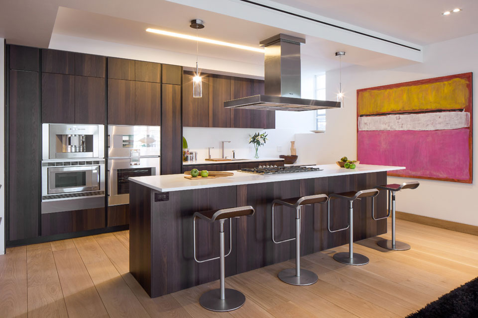 New York Apartment Modern Kitchen