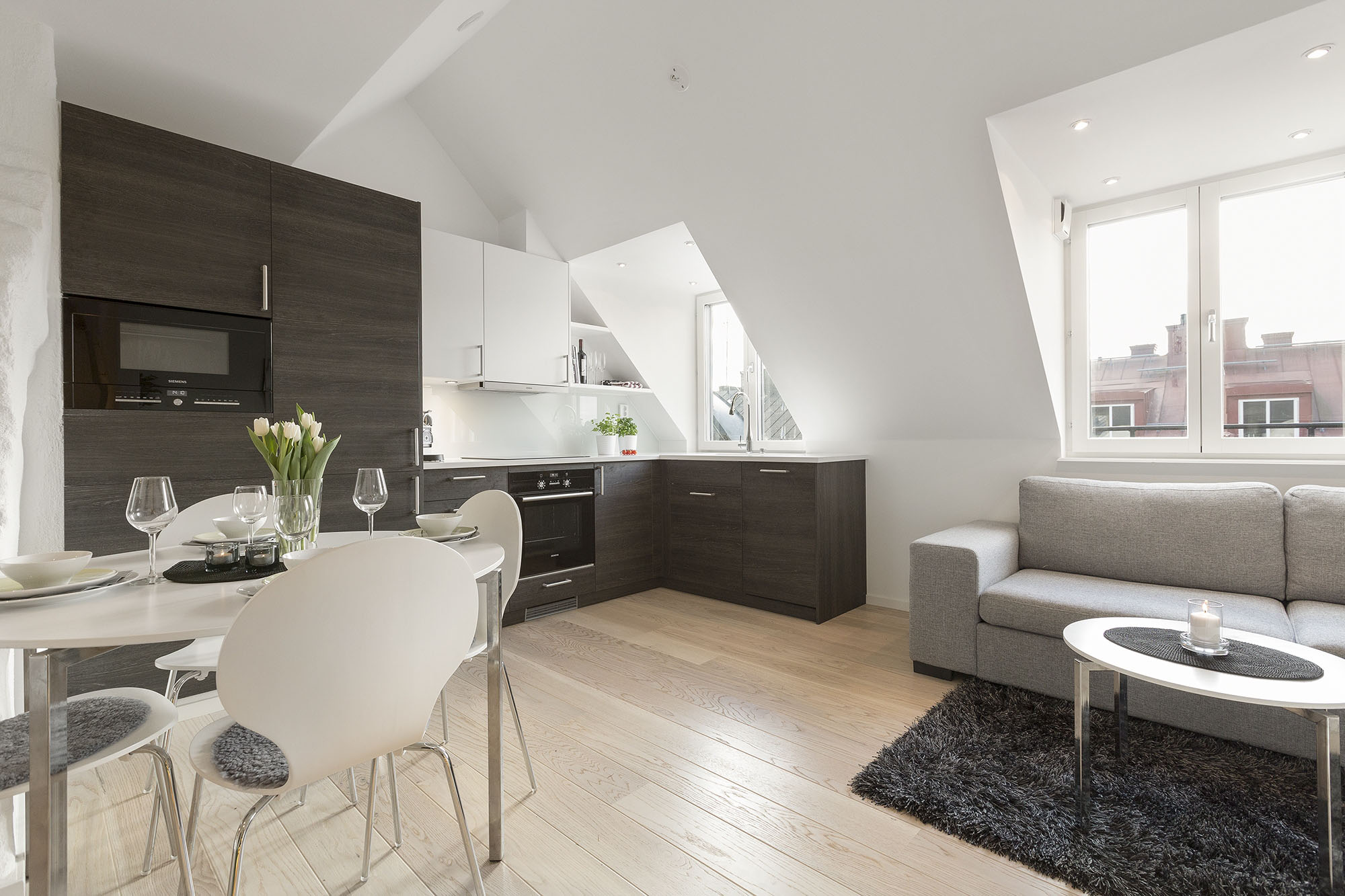 Modern Roof Apartment Kitchen