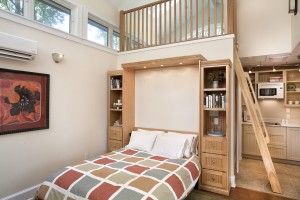 Tiny House with Murphy Bed