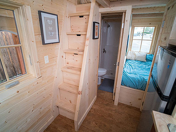 Tiny House with Ladder Stairs