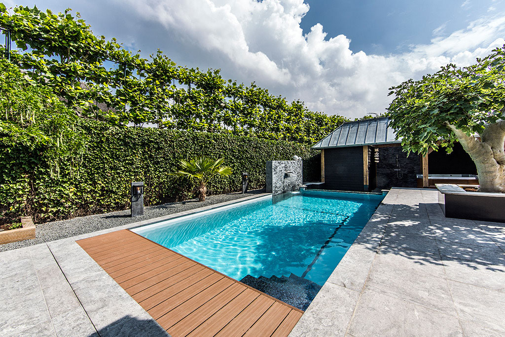 Dream Backyard Garden With Amazing Glass Swimming Pool 
