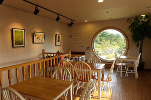 Dreamy Camera Cafe Interior