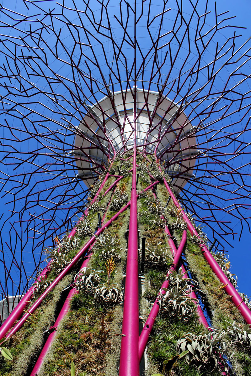 Spectacular Gardens By The Bay In Singapore iDesignArch Spectacular Gardens By The Bay In Singapore iDesignArch