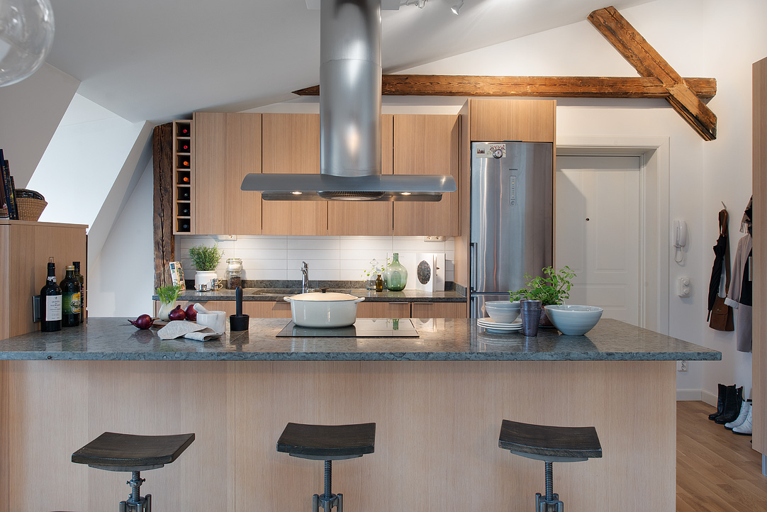 Modern Loft Apartment Kitchen