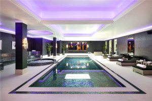 Luxury Home Basement Swimming Pool