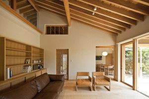 Japan House with Natural Wood Elements