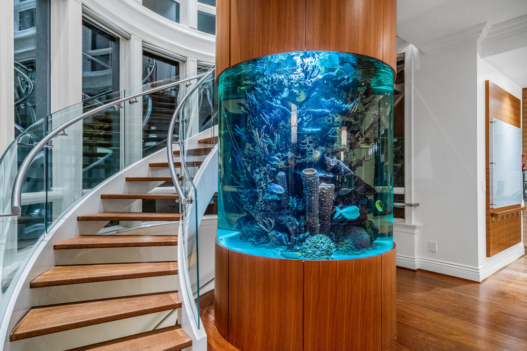 Contemporary Spiral Staircase Wrapped around a Circular Aquarium