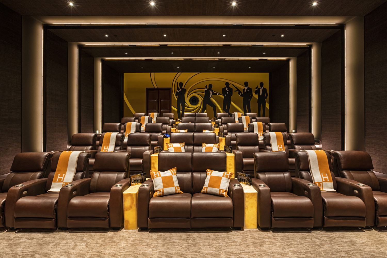 Luxury Home Cinema