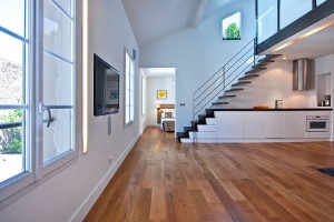 duplex idesignarch