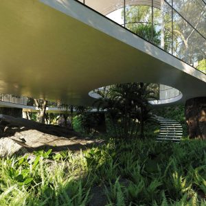 Modernist Jungle Escape Glass House in a São Paulo Forest | iDesignArch ...