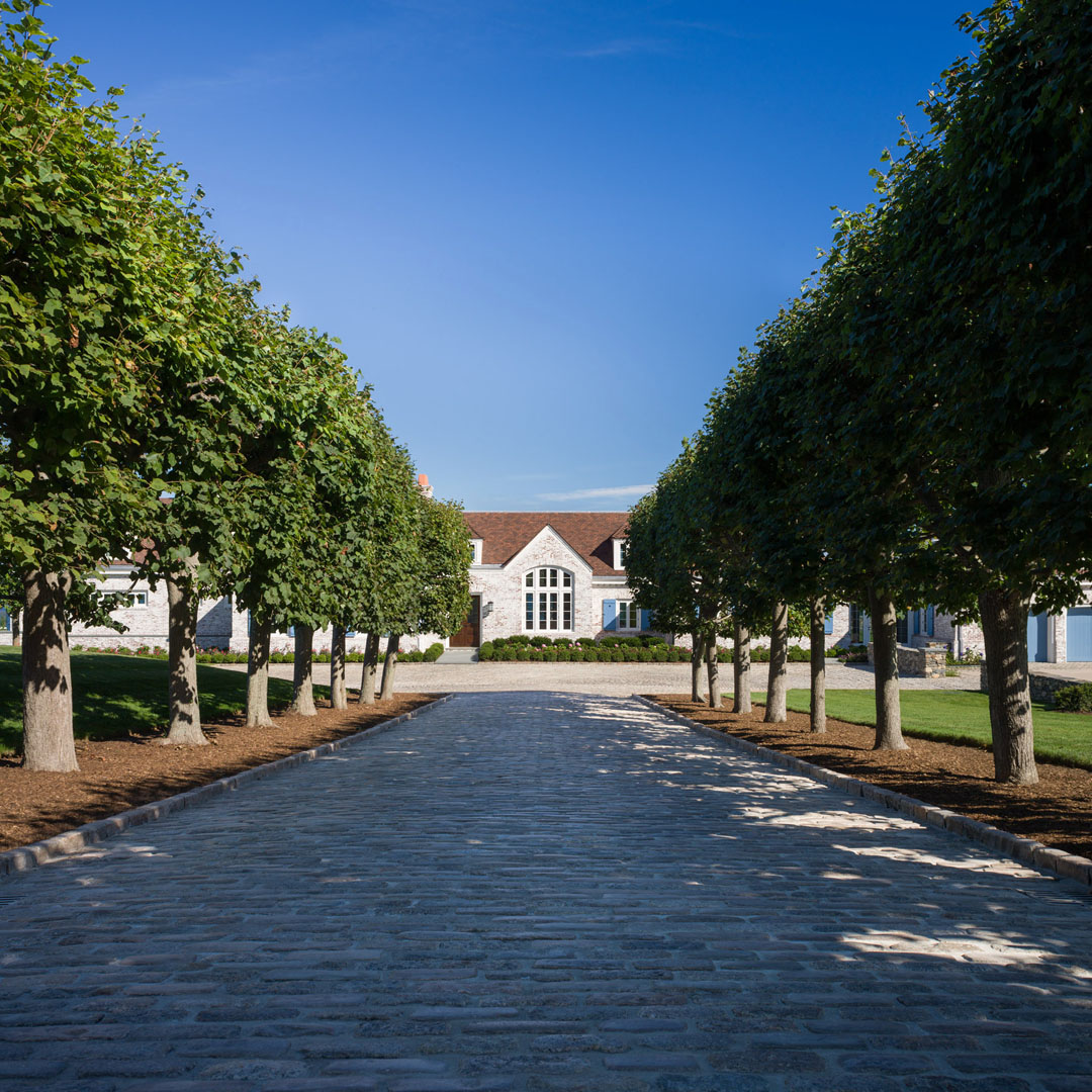 Tree-Lined Driveway