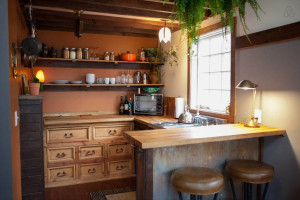 Rustic Tiny Home Kitchen