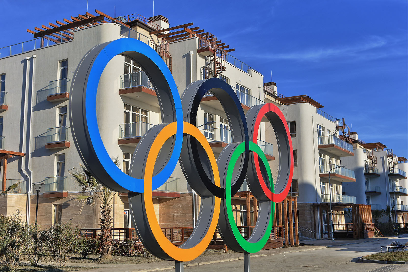 отели сочи 2014