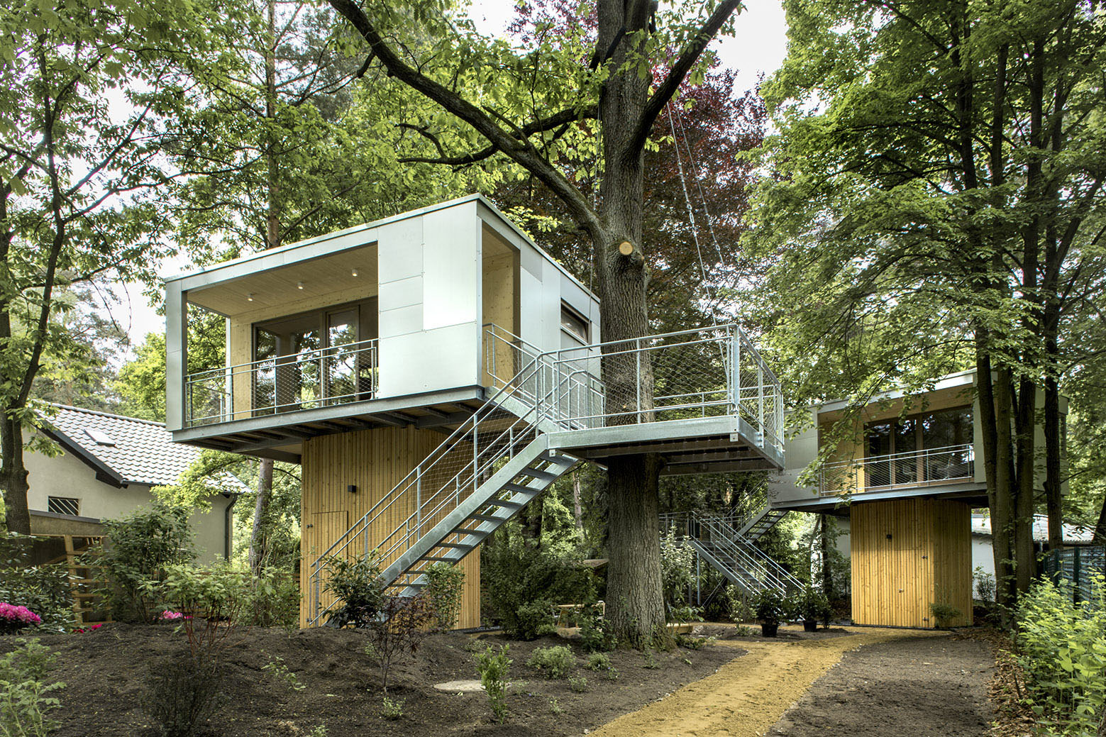 Αποτέλεσμα εικόνας για tree in house architecture